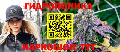 МДПВ Пушкино