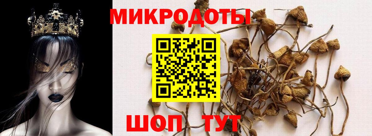 магазин продажи   Вход с VPN  Обнинск  Галлюциногенные грибы прущие грибы 