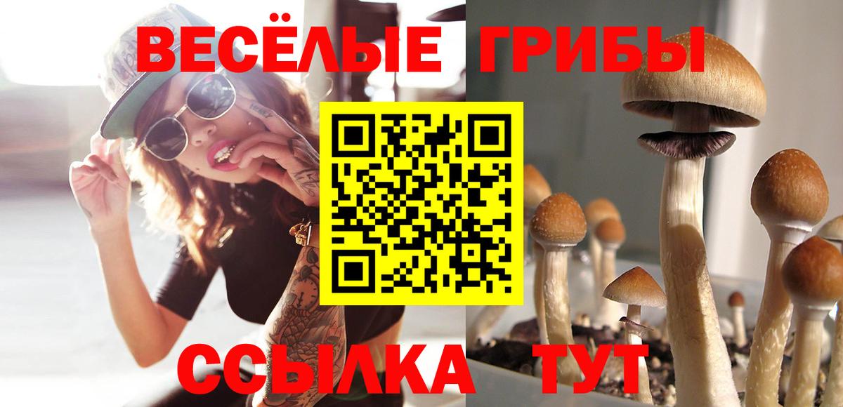 МАРИХУАНА  КОКАИН  Цена  Меф   Обнинск  Alpha PVP СОЛЬ кристаллы  Вход с VPN  ГАШ  НБОМе 